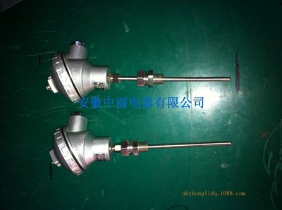 精準(zhǔn)控溫，品質(zhì)之選——安徽中麗電器鎧裝熱電阻專業(yè)供應(yīng)