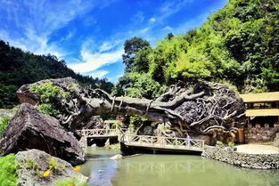 尤溪俠天下,千尺懸空玻璃橋讓你玩得心跳