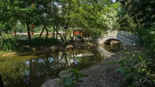 賺翻了!深圳53個免費景點,不花一分錢玩轉(zhuǎn)五一!